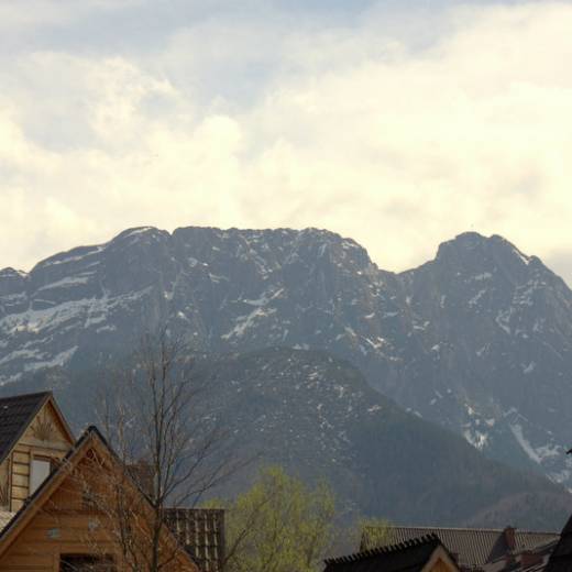 dsc03160.jpg